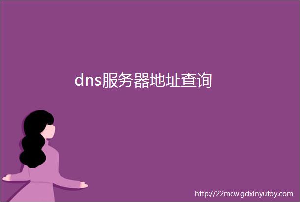 dns服务器地址查询